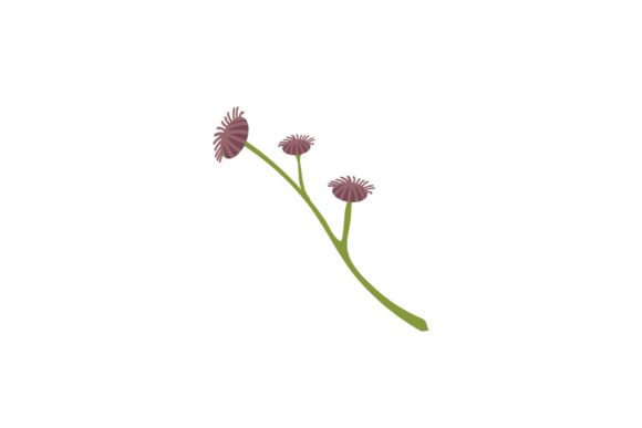 Download Elegant Flower Design - Elegant flower design Collection