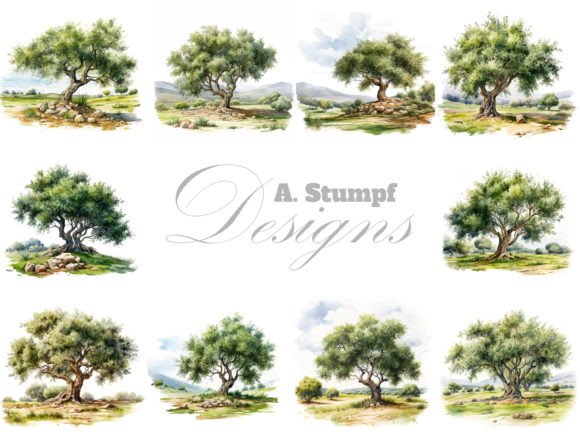 Download Olive Tree Watercolor Clipart Bundle - Premium Resources