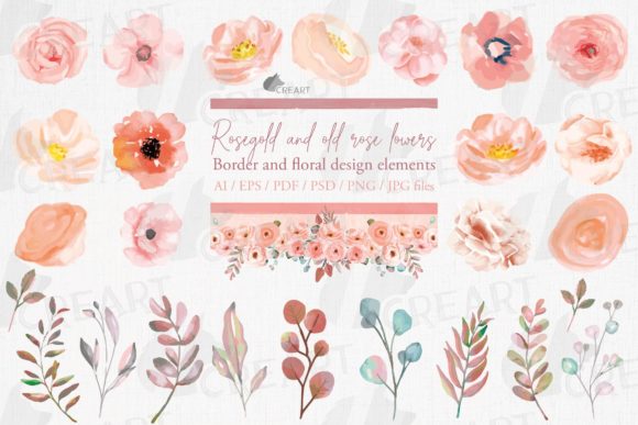 Download Watercolor Old Rose Floral Decor Element - Floral decor Collection
