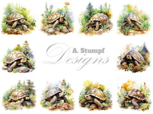 Download Tortoise Clipart Watercolor Animals Set - Premium Resources
